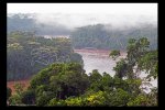 Forest and Tambopata River, Peruvian Amazon