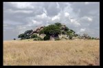 Kopje at Serengeti NP, Tanzania